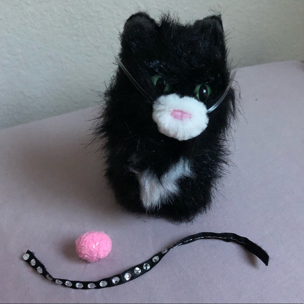 Licorice the Cat